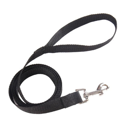 Heavy-Duty Nylon Dog Leash – Multiple Lengths