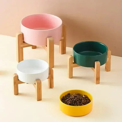 Elevated Ceramic Dog Bowl with Wooden Stand