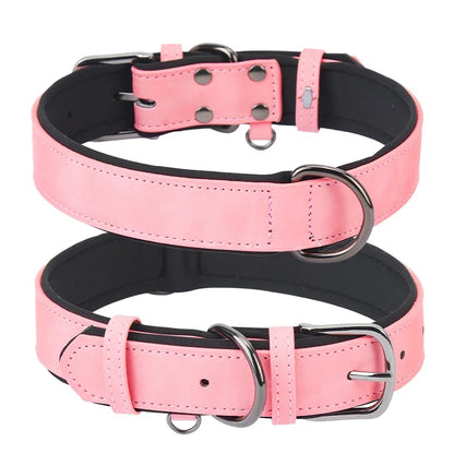 Premium Padded Leather Dog Collar- Adjustable Fit