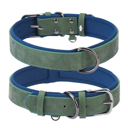 Premium Padded Leather Dog Collar- Adjustable Fit