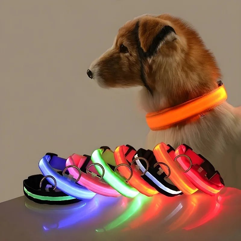 LED Glow Nylon Dog Collar - Adjustable Fit & Reflective