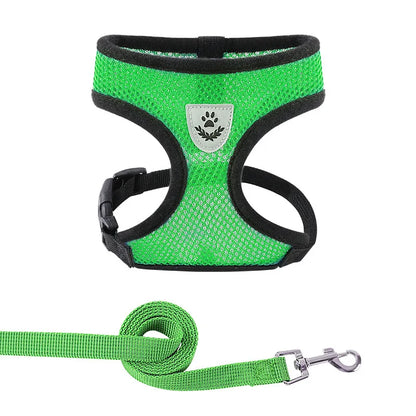 Lightweight Adjustable Dog Harness & Leash