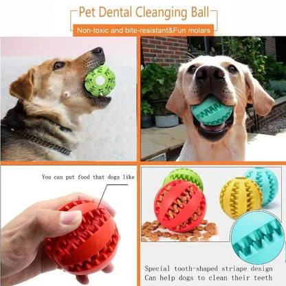 Treat & Teeth Cleaner Ball