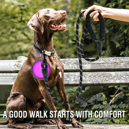 Shock-Absorbing Reflective Dog Leash