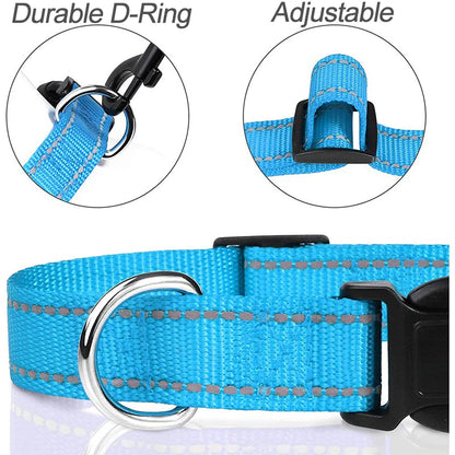 Close up diagrams highlighting the durable metal D-ring and plastic adjustable clip of a blue nylon dog collar