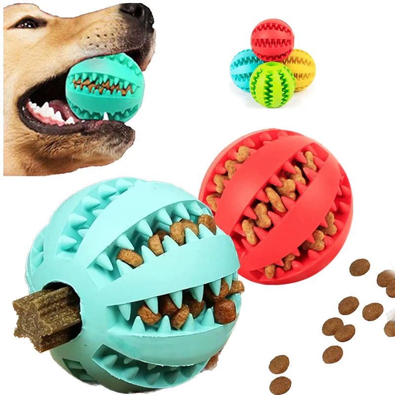A light blue rubber dental dog ball filled with treats next to a red ball with kibble spill details and a dog chewing on a toy