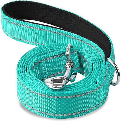 Coiled cyan reflective nylon dog leash with interior handle padding