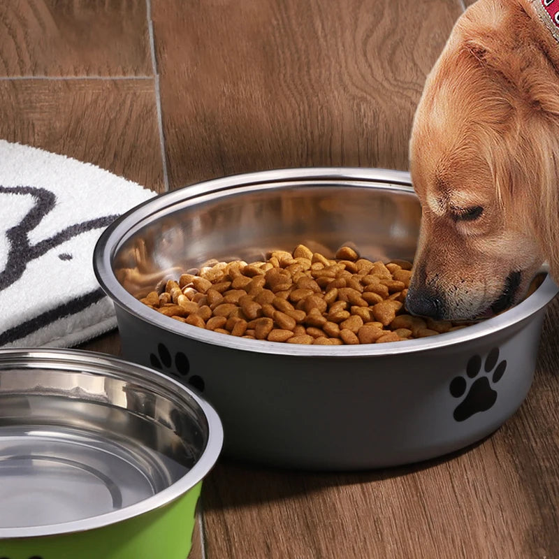 Golden retriever eating food out of a non-slip stainless steel dog bowl
