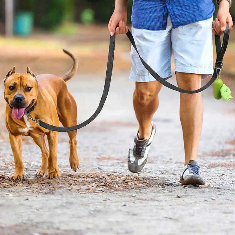 A dog owner walking an active brown dog on a path using a black reflective safety leash