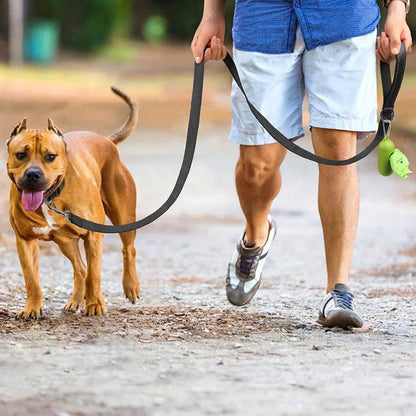 A dog owner walking an active brown dog on a path using a black reflective safety leash