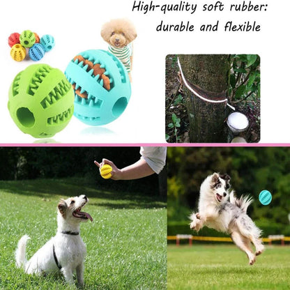 Two lifestyle images showcasing small and medium dogs catching and tracking high bounce green and blue rubber balls outside on the grass
