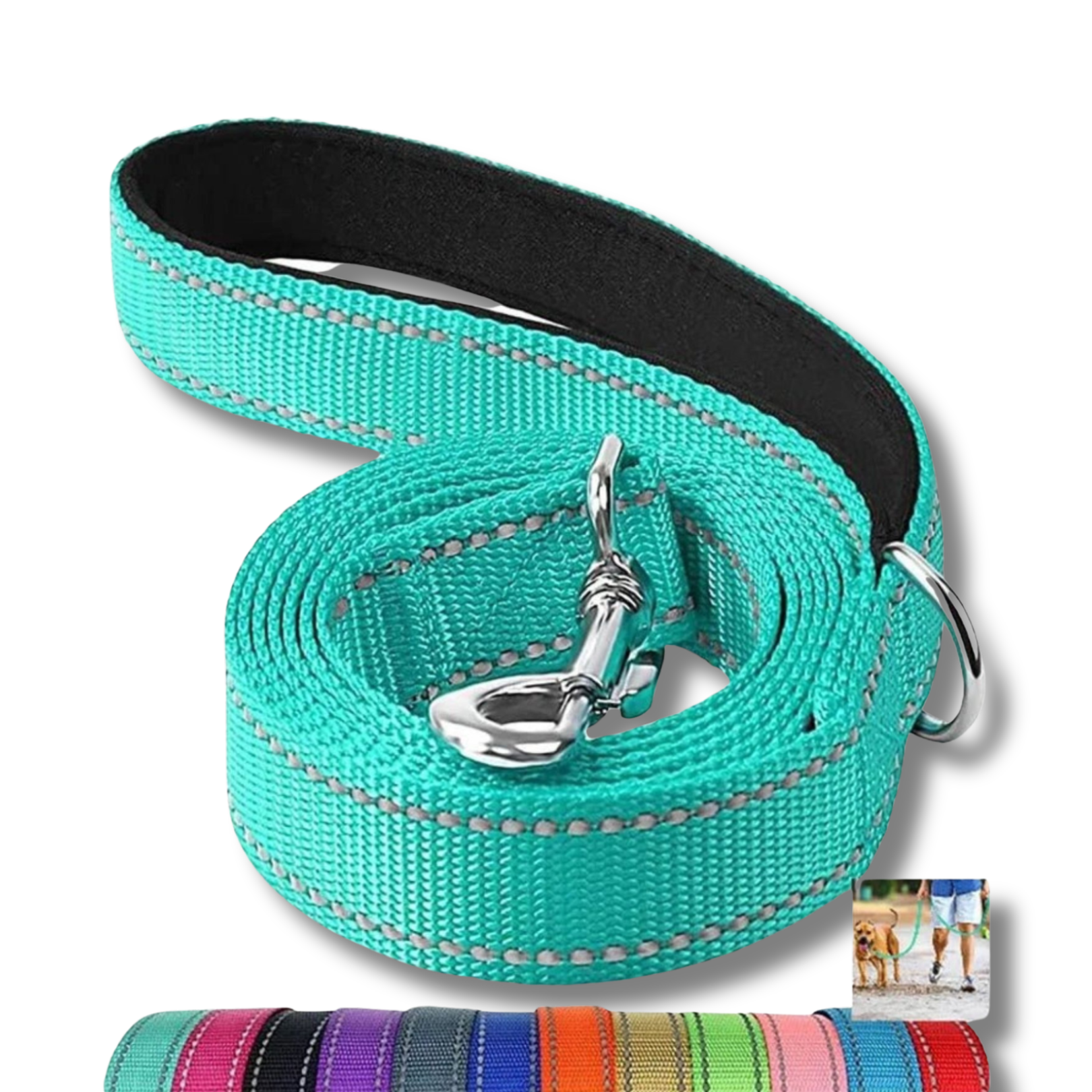 A rolled cyan green double sided reflective dog leash with a black padded handle and heavy duty metal clasp displayed on a white background - multiple colors shown on bottom