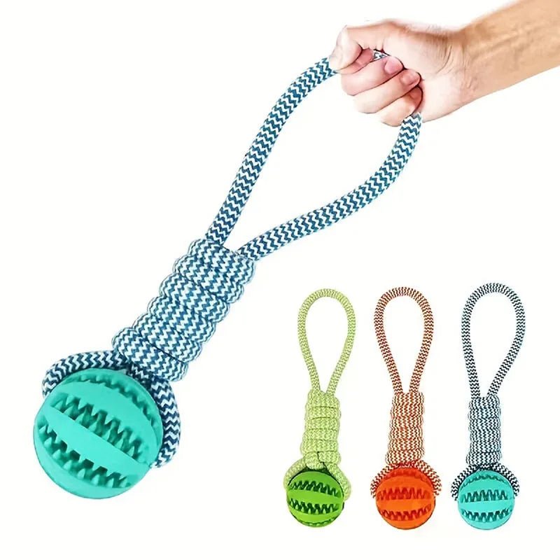 A standalone blue braided rope dog toy attached to a textured green rubber ball with three smaller color variations displayed beside it