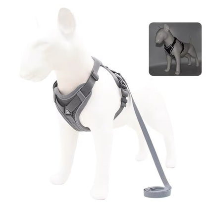 Adjustable Dog Harness & Leash Set for Small and Medium Dogs