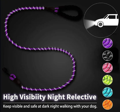 A purple nylon dog leash showing bright glowing reflective stitching under a night safety visibility test