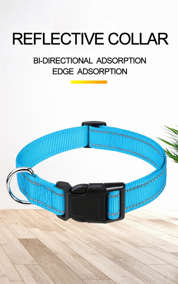Light blue reflective adjustable dog collar laid out flat showing the silver D-ring