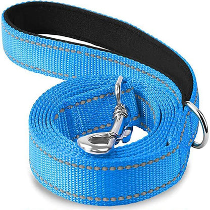 Coiled light sky blue double sided reflective nylon pet leash