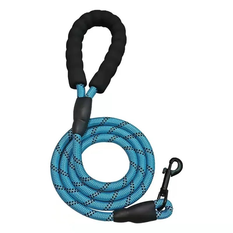 Coiled light blue reflective nylon dog leash showing the shock absorbing elastic section