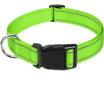 Bright lime green reflective adjustable safety dog collar