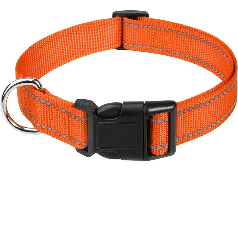Orange reflective adjustable dog collar