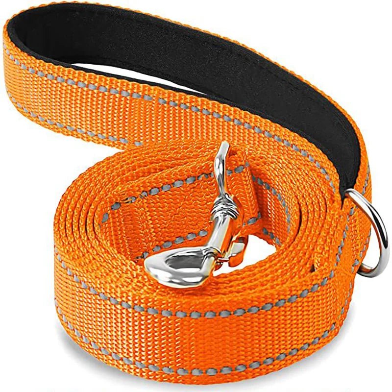 Coiled brilliant safety orange reflective nylon dog leash