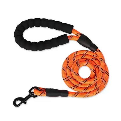 Coiled bright orange high visibility reflective dog leash with heavy duty clip