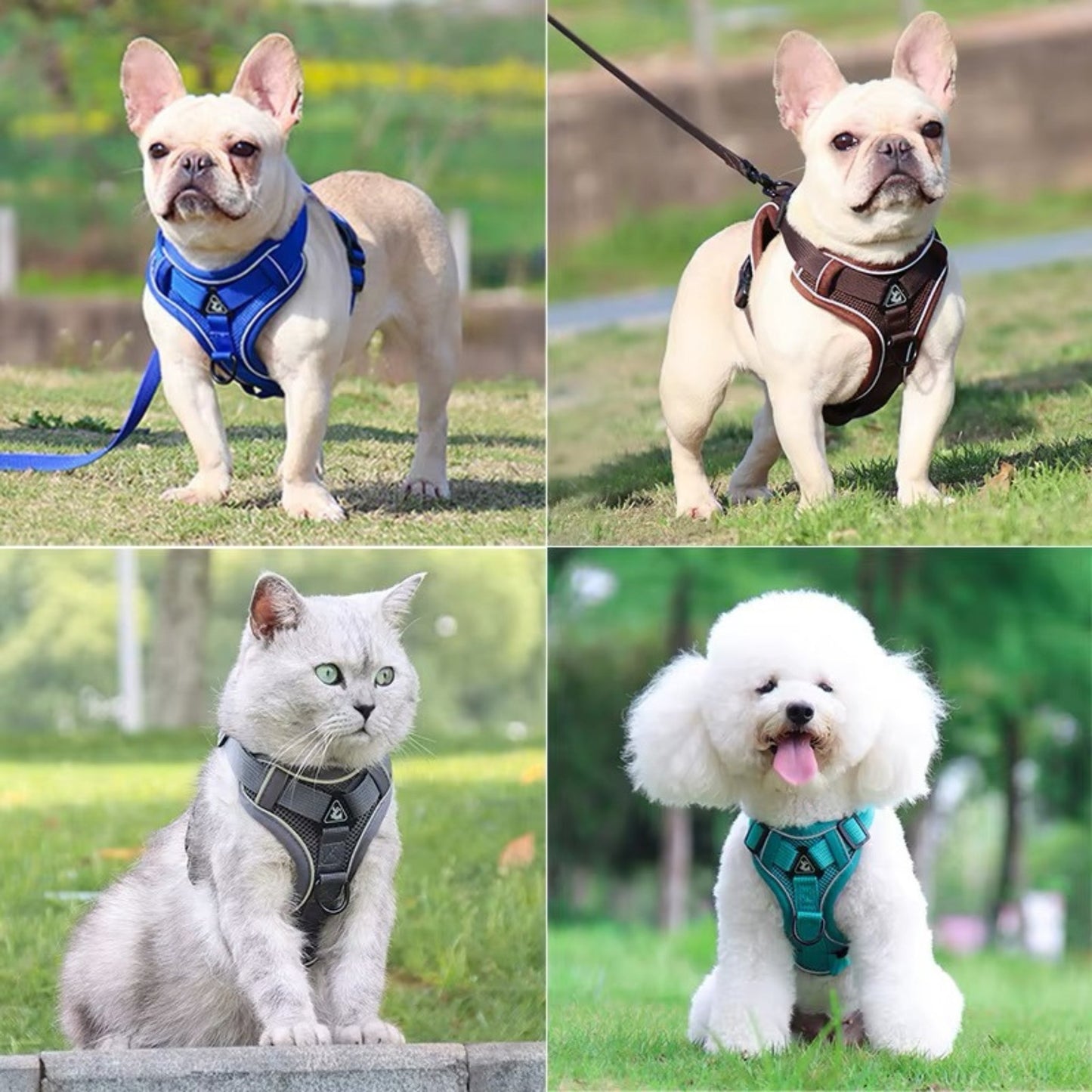 Adjustable Dog Harness & Leash Set for Small and Medium Dogs