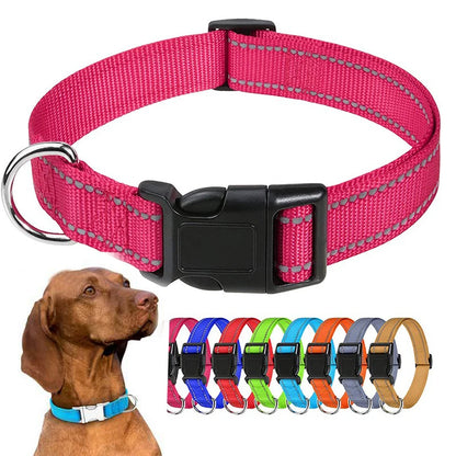 Pink reflective dog collar with snap buckle, shown with full color range and dog model