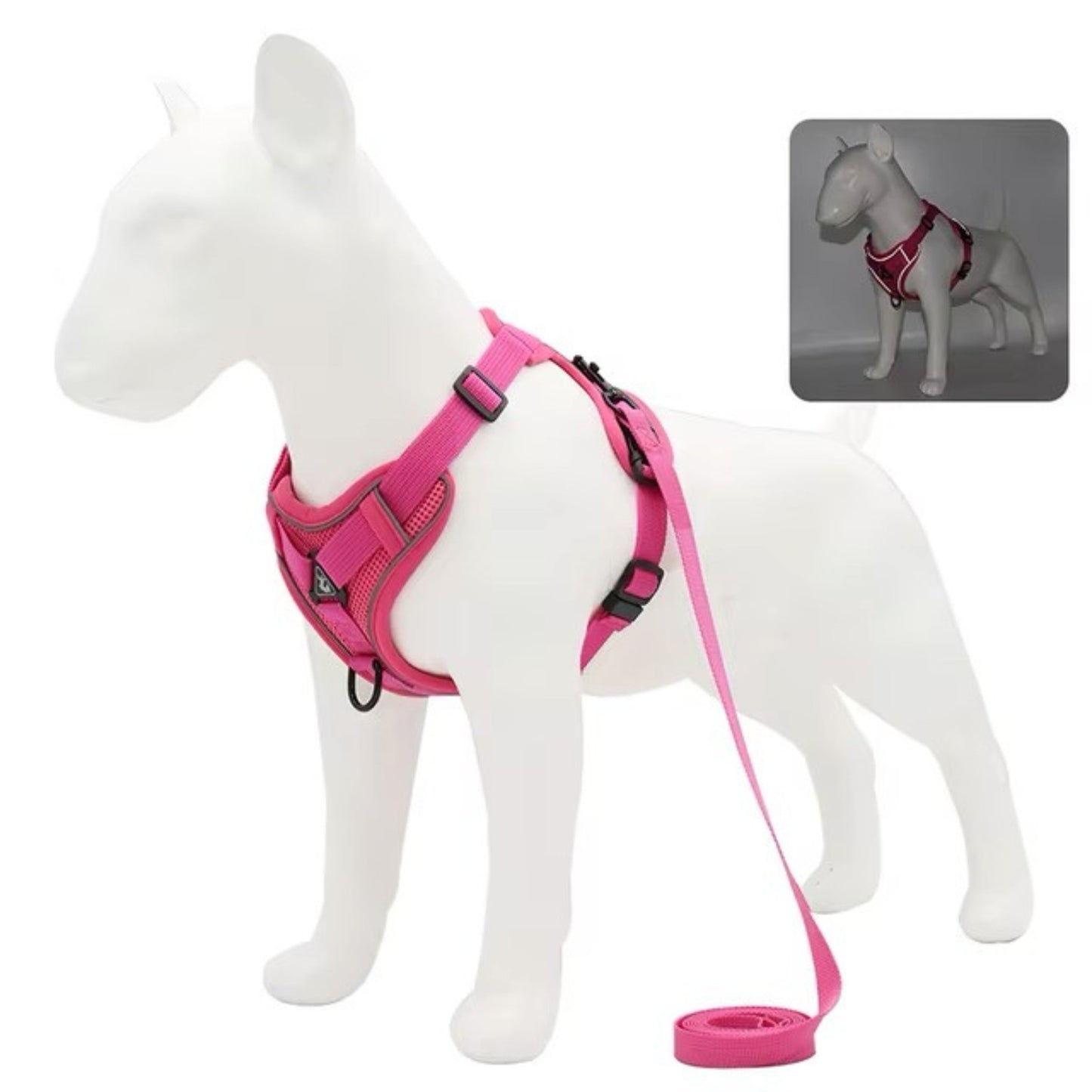 Adjustable Dog Harness & Leash Set for Small and Medium Dogs