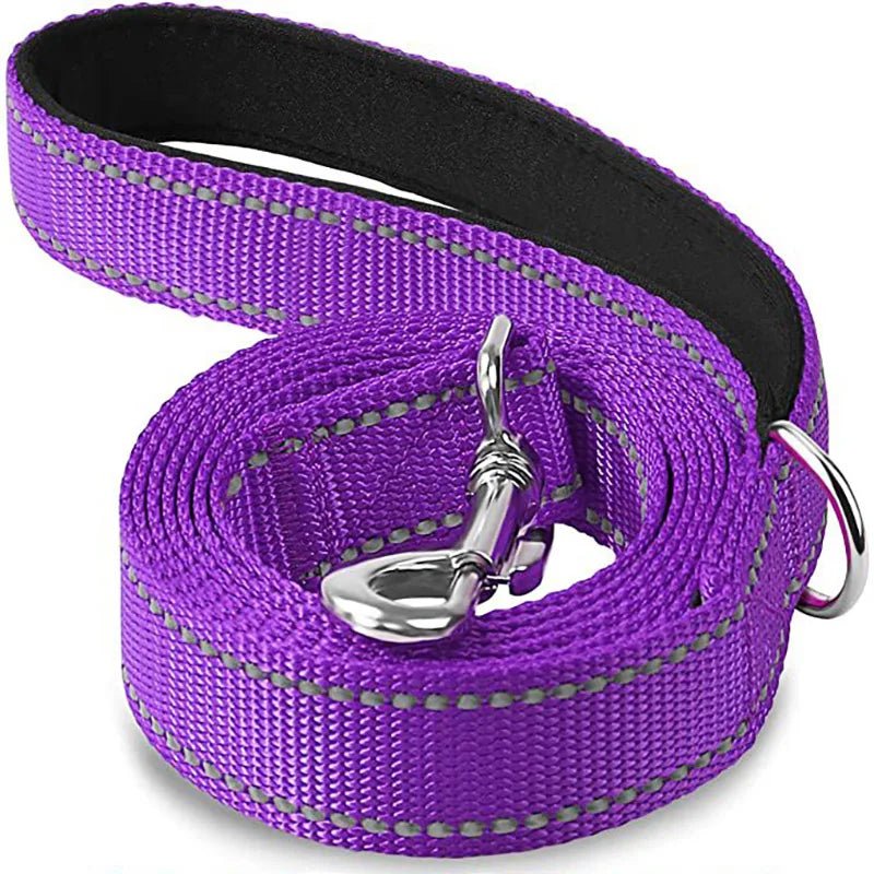 Coiled dark violet purple reflective nylon dog leash with interior handle padding