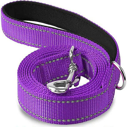 Coiled dark violet purple reflective nylon dog leash with interior handle padding