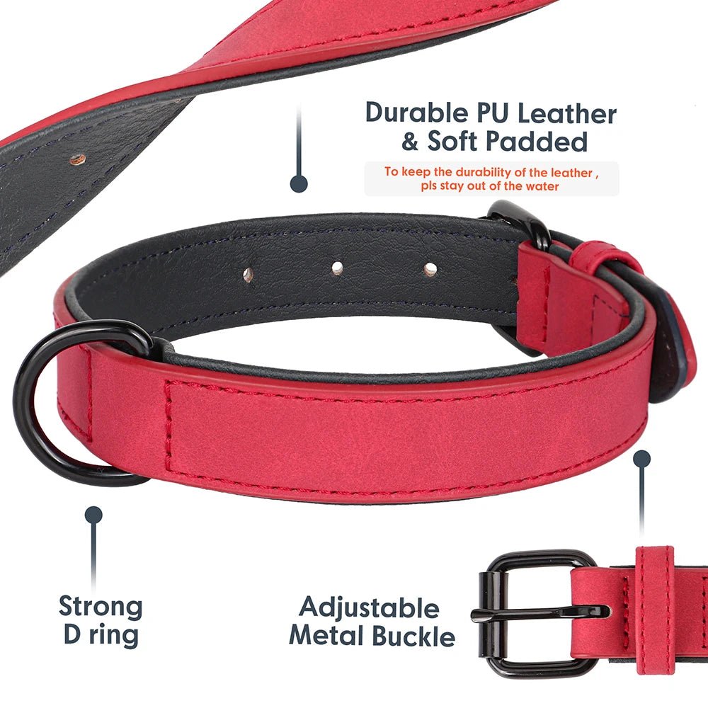 Close up diagram of a red padded leather collar highlighting the strong metal D-ring and adjustable metal buckle