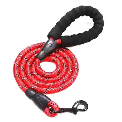 Coiled deep red reflective shock absorbing dog leash for outdoor training