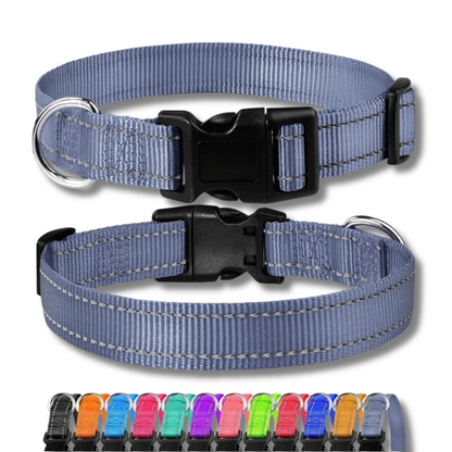 Two grey reflective adjustable dog collars with quick release black plastic buckles shown with a row of colorful options