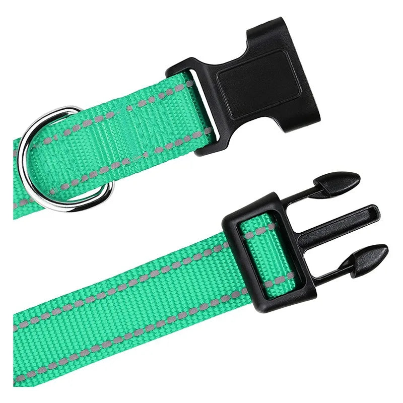 Reflective collar close-up with soft nylon and buckle