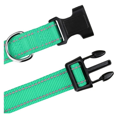 Reflective collar close-up with soft nylon and buckle