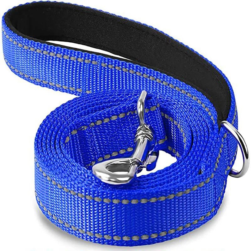 Coiled royal blue high visibility reflective nylon dog leash