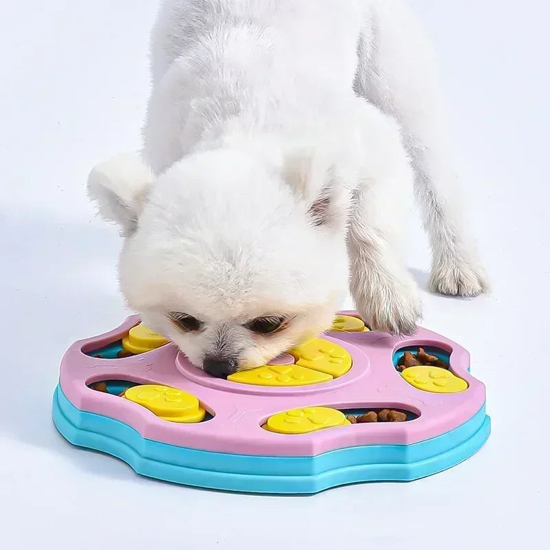 Small white dog eating kibble out of a pink and blue interactive puzzle slow feeder on a white background