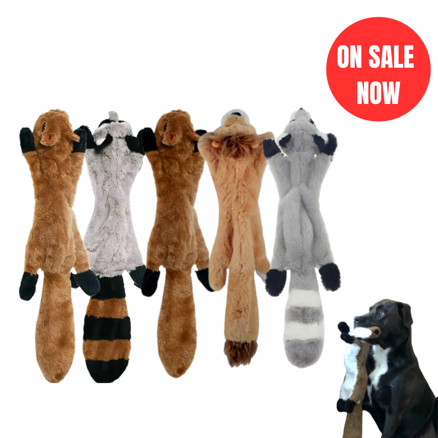 Five stuffing-free plush dog toys in various animal designs displayed upright with a red “On Sale Now” badge in the corner. Ideal for durable, squeaky dog play.