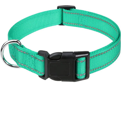 Teal blue reflective adjustable dog collar for male and female dogs
